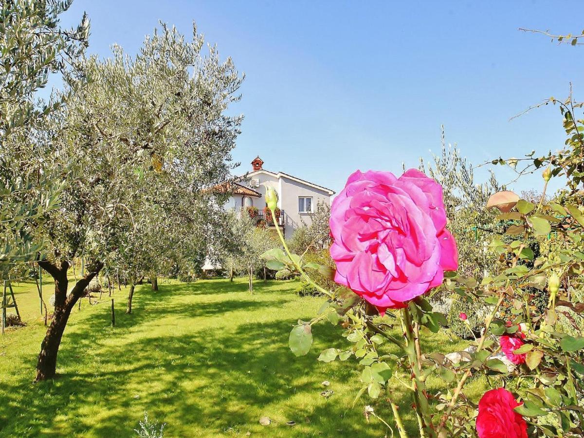 Apartments Durda Fažana Εξωτερικό φωτογραφία