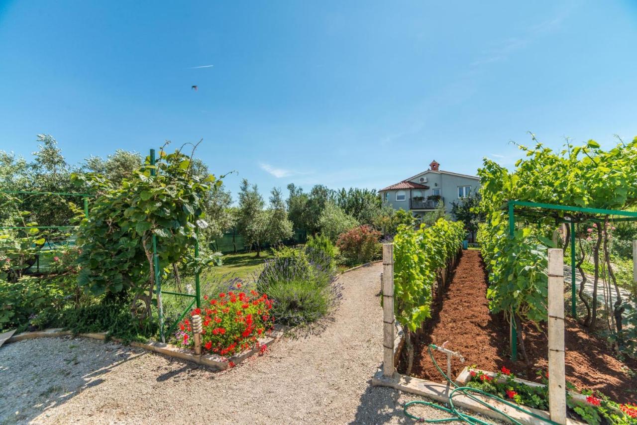 Apartments Durda Fažana Εξωτερικό φωτογραφία
